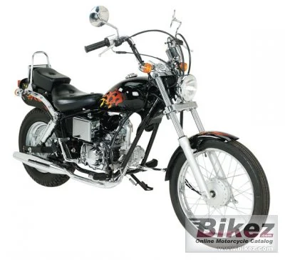 AJS DD50E 2 2011