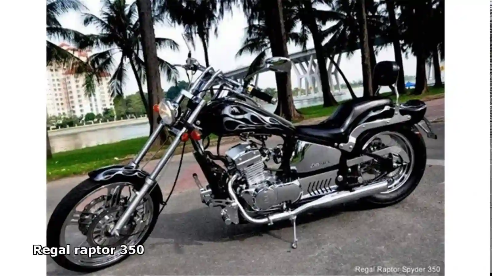 AJS Regal Raptor DD50E 2 2009