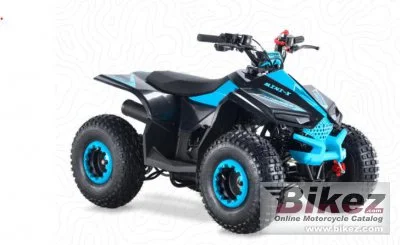 Access Mini X 110 2023