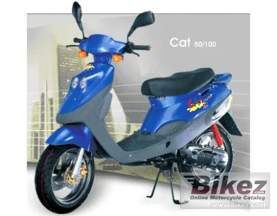 Adly Cat 50 2009 1