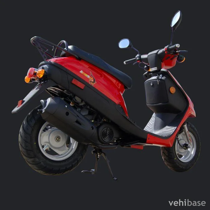 Adly E Bike 2Nd Generation 2009 1