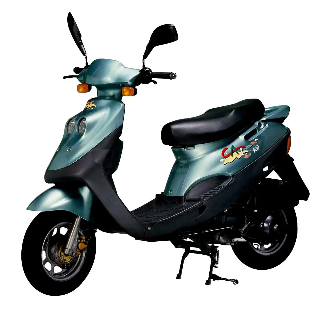 Adly E Bike 2Nd Generation 2009