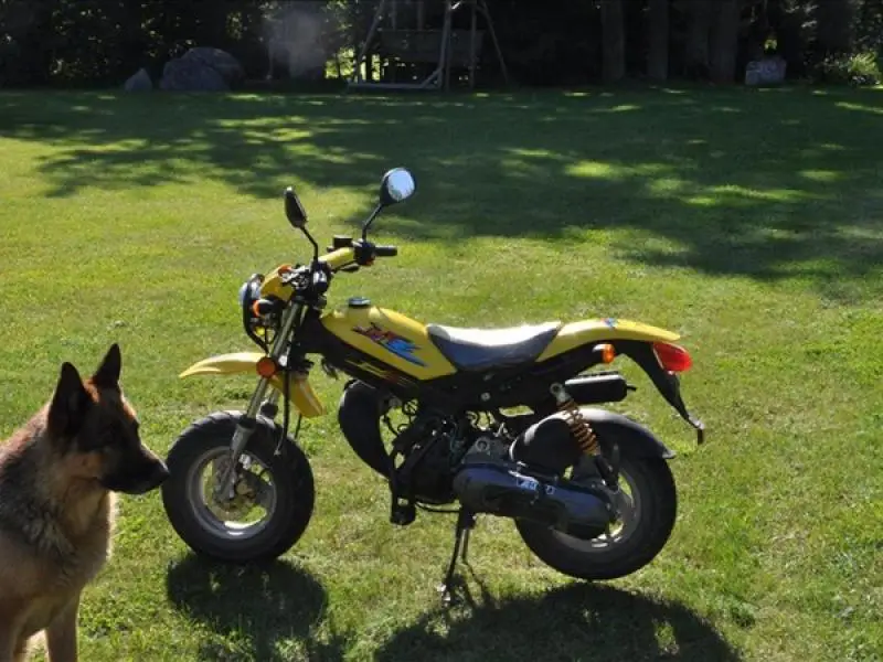 Adly Road Tracer 50 2008