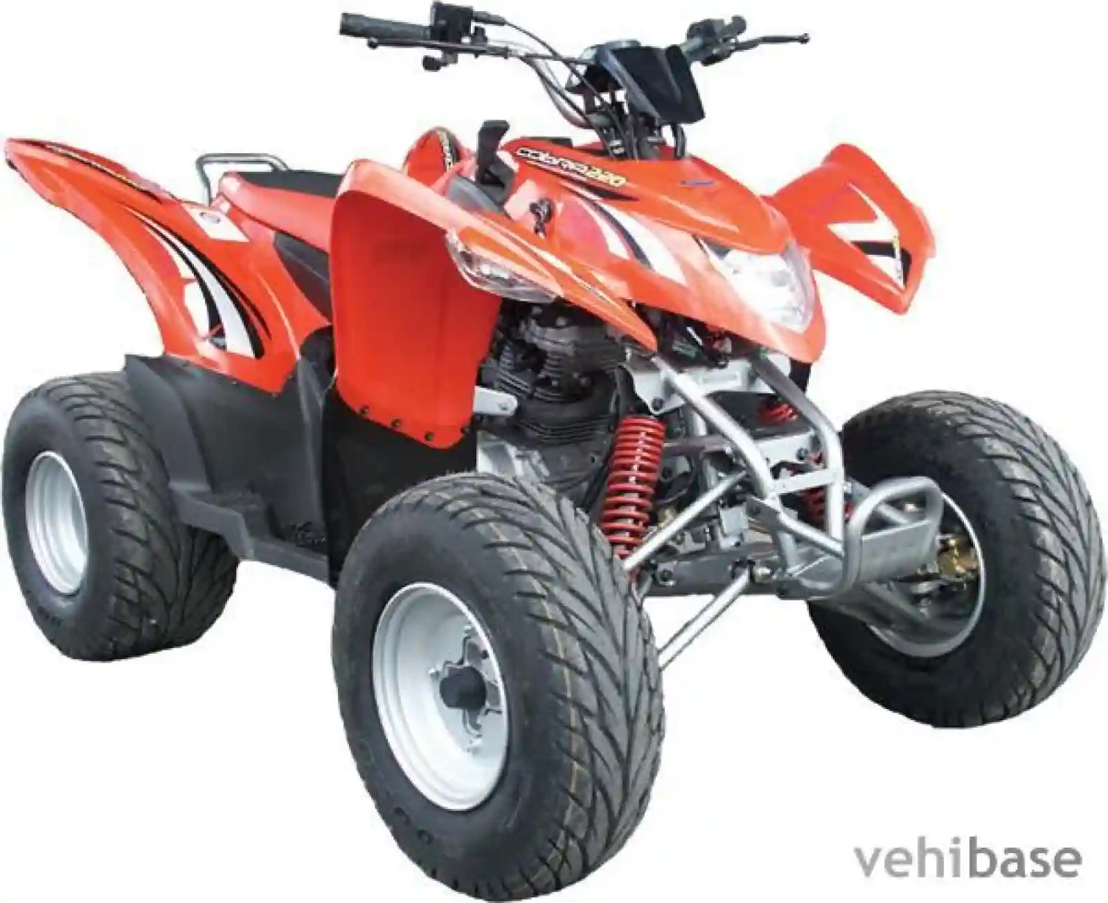 Aeon Cobra 220 2008