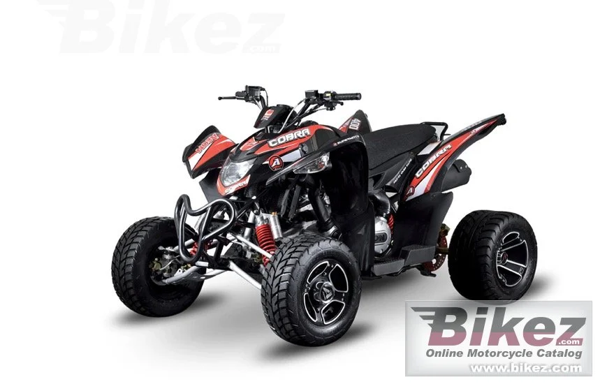 Aeon Cobra Supermoto 2019
