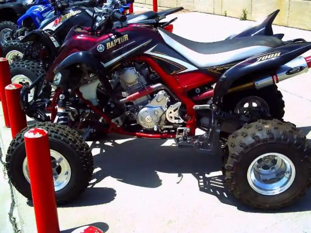 American Eagle Raptor 2009 1