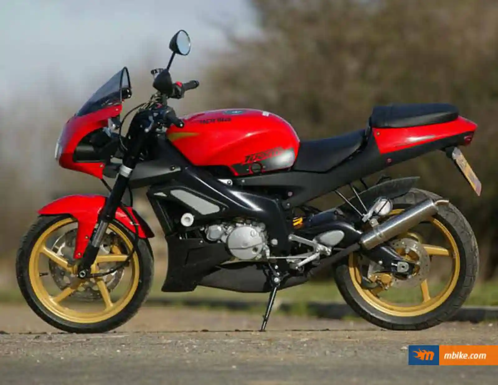 Aprilia RS 125 Tuono 2003
