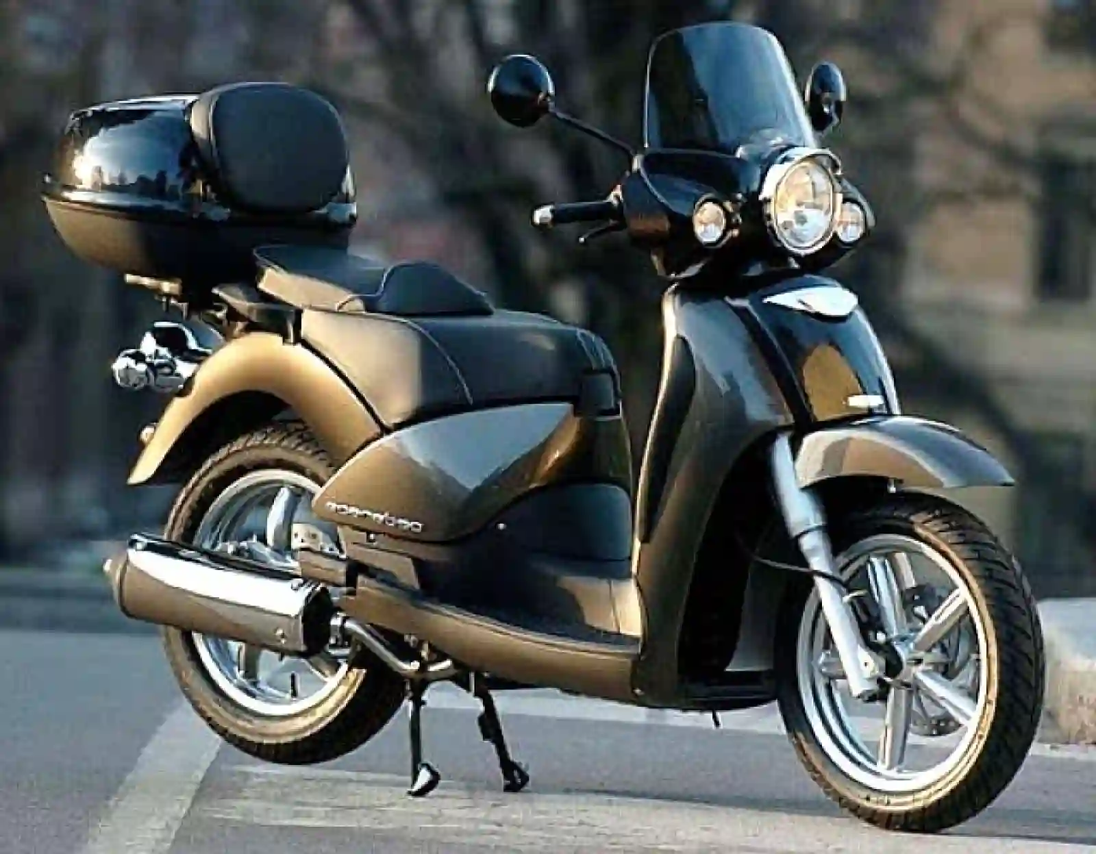 Aprilia Scarabeo 250 2006