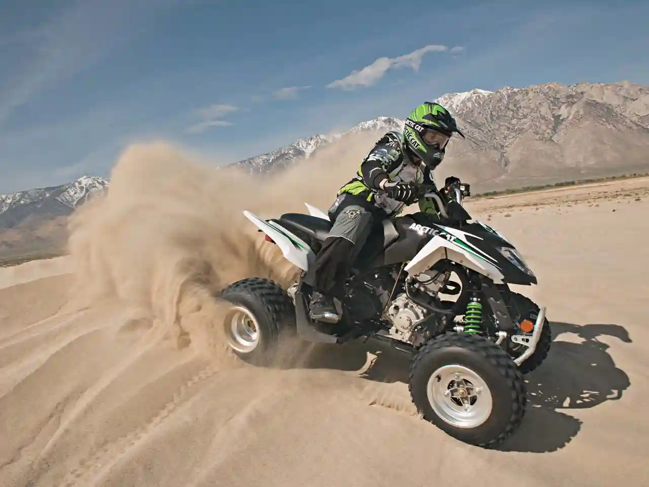 Arctic Cat 300 2010