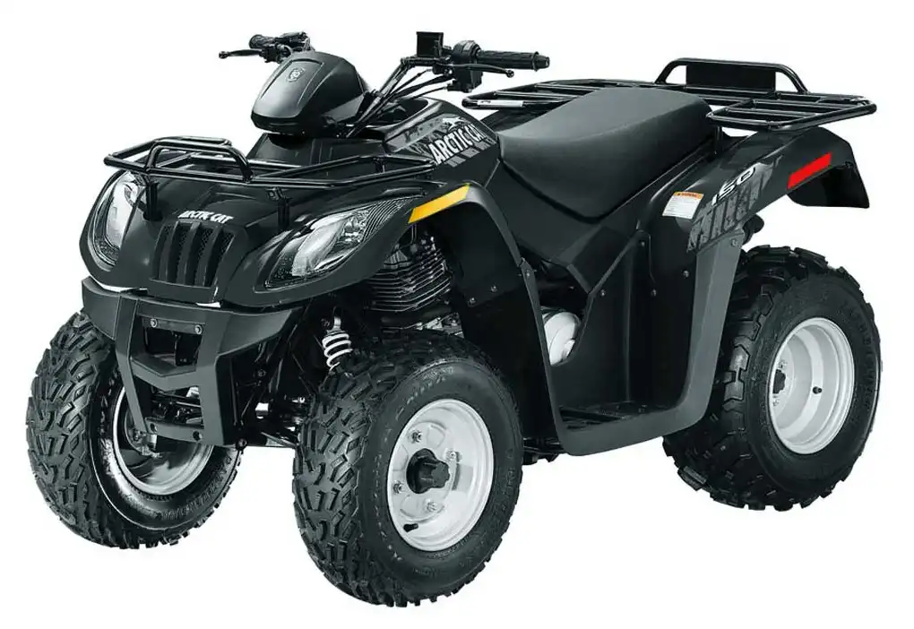 Arctic Cat 300 2011