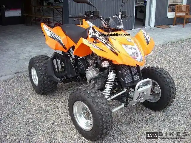 Arctic Cat 300 2012