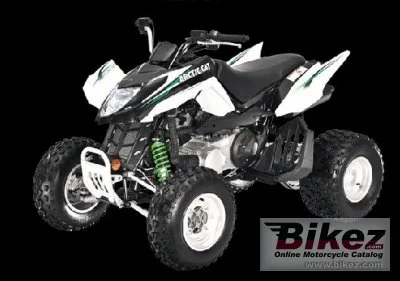 Arctic Cat 300 DVX 2009 1