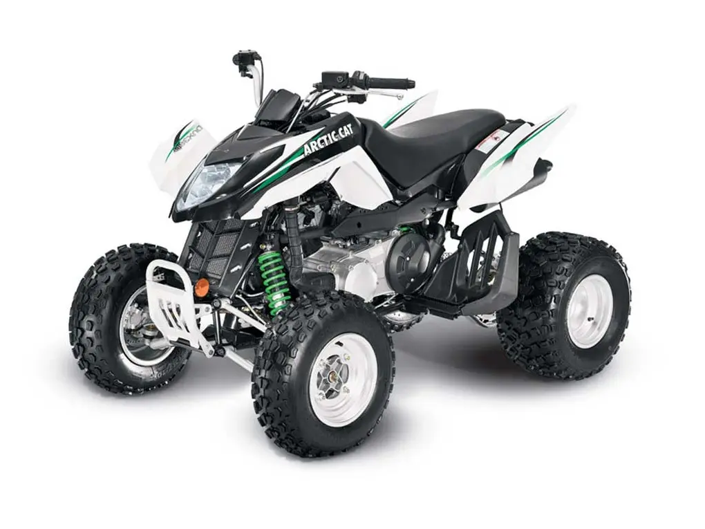 Arctic Cat 300 DVX 2009