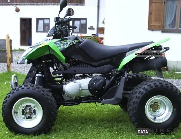 Arctic Cat 300 DVX 2010