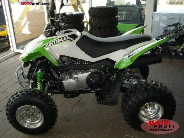 Arctic Cat 300 DVX 2011