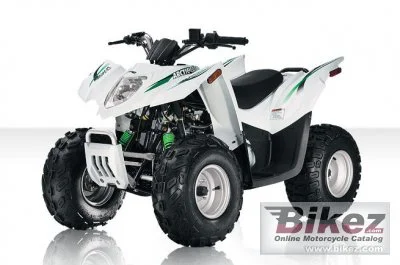 Arctic Cat 90 Youth 2010
