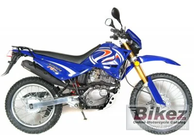 Arqin RT200 2010