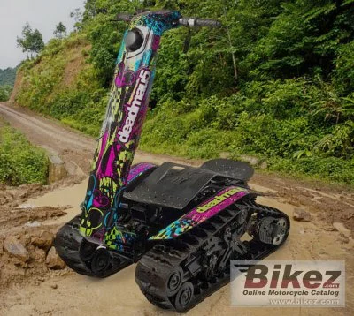 Home 3 BPG DTV Shredder Trail 2017