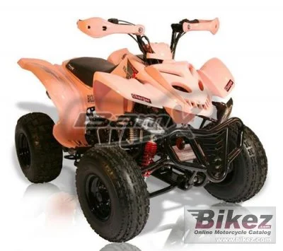 Bamx BX200 S Charger 2010