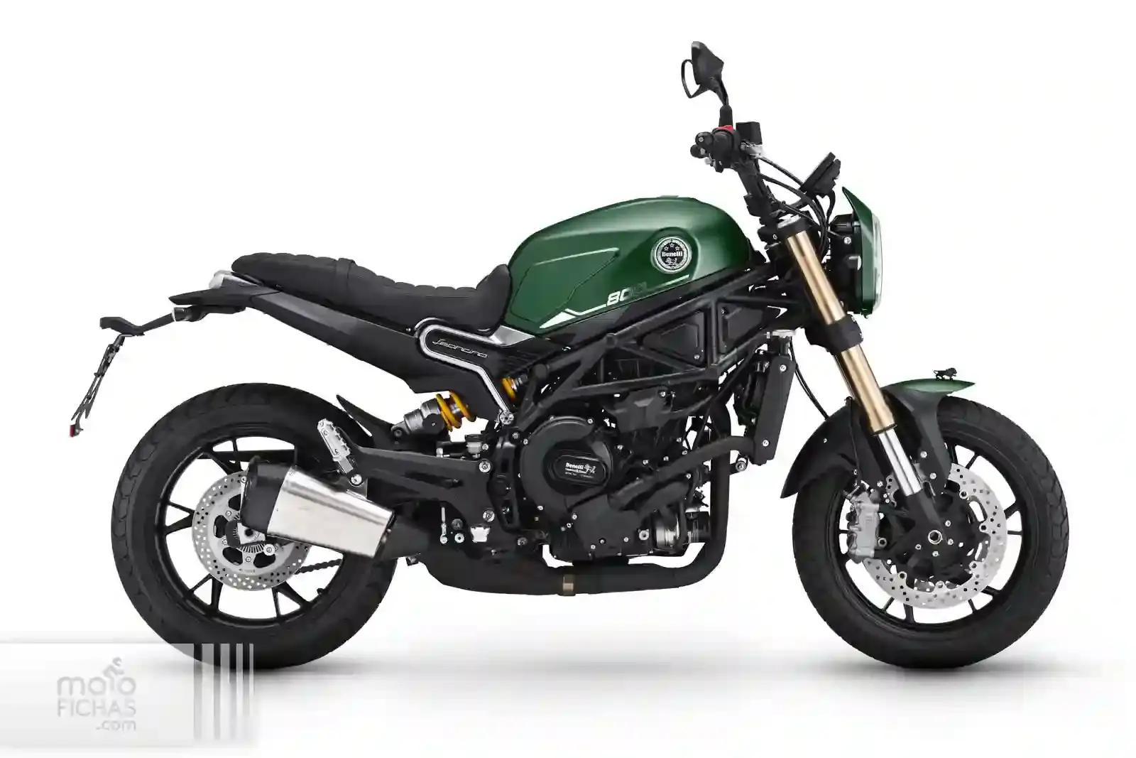 Benelli Leoncino 800 2023