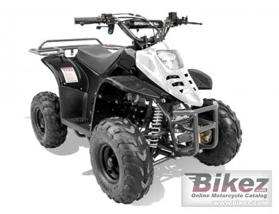 Bennche Hawk 110 2022