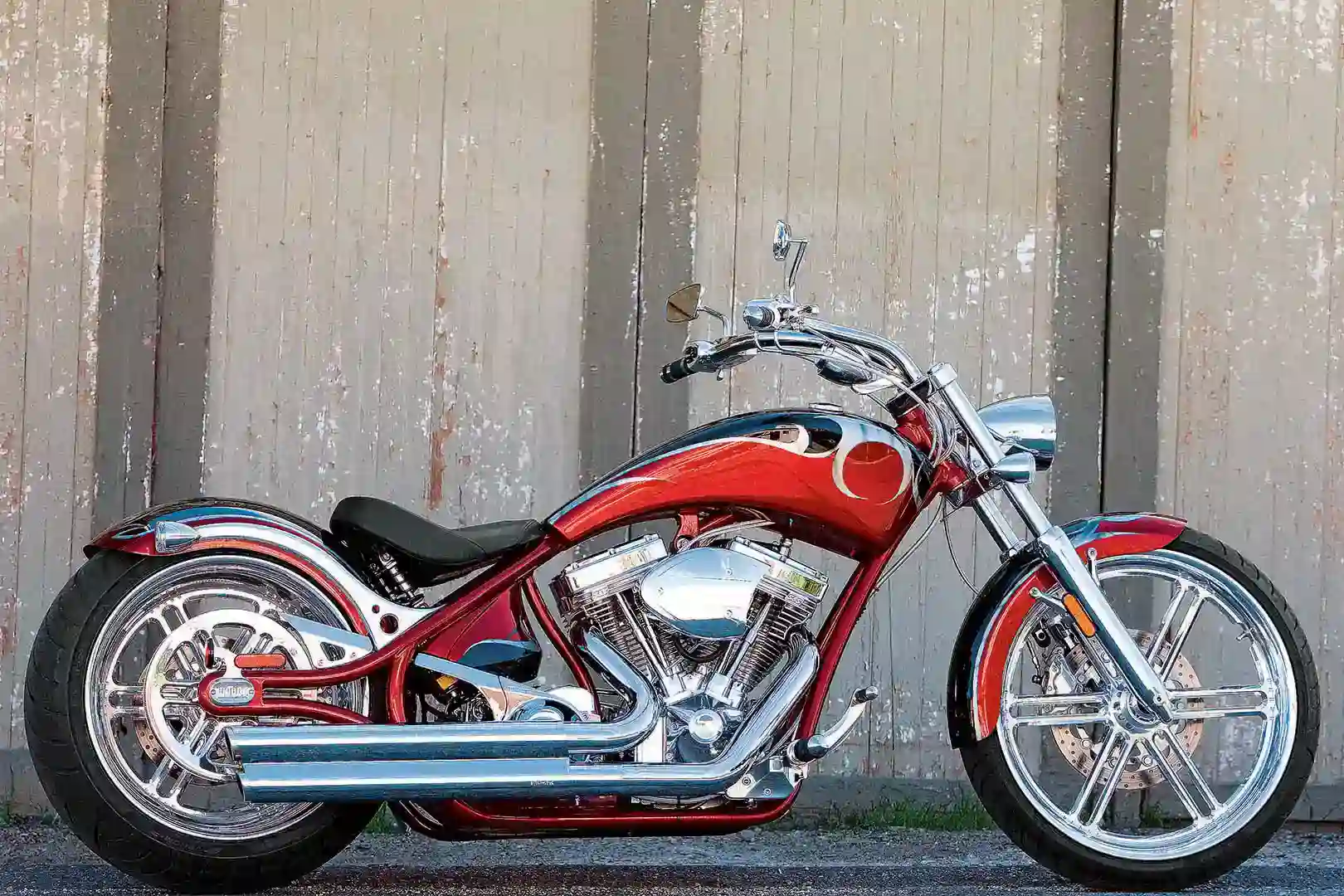 Big Dog Pitbull 2008