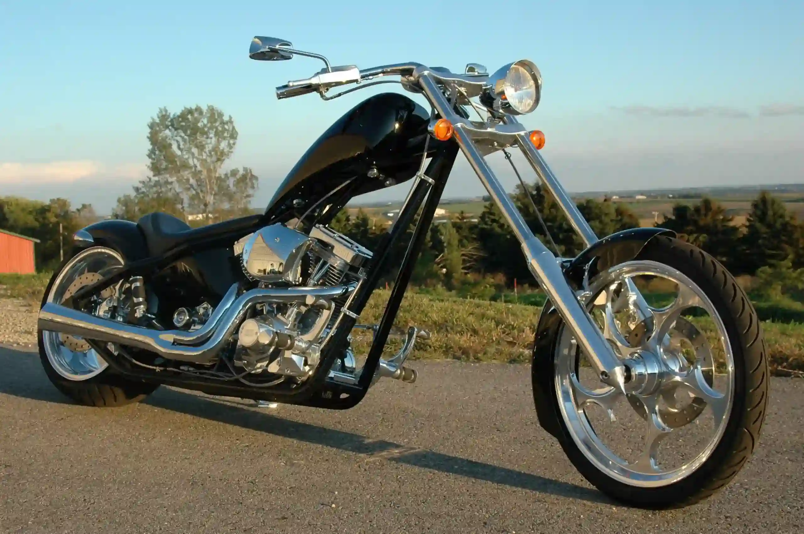 Big Dog Ridgeback 2011