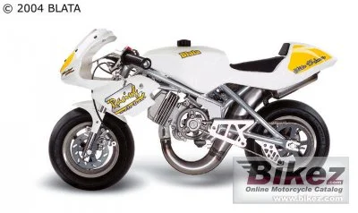 Blata Elite 13 Junior 2007