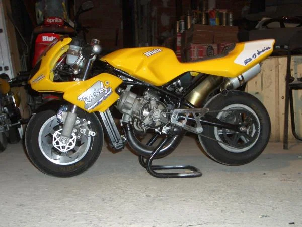 Blata Elite 13 WRS 2009 1