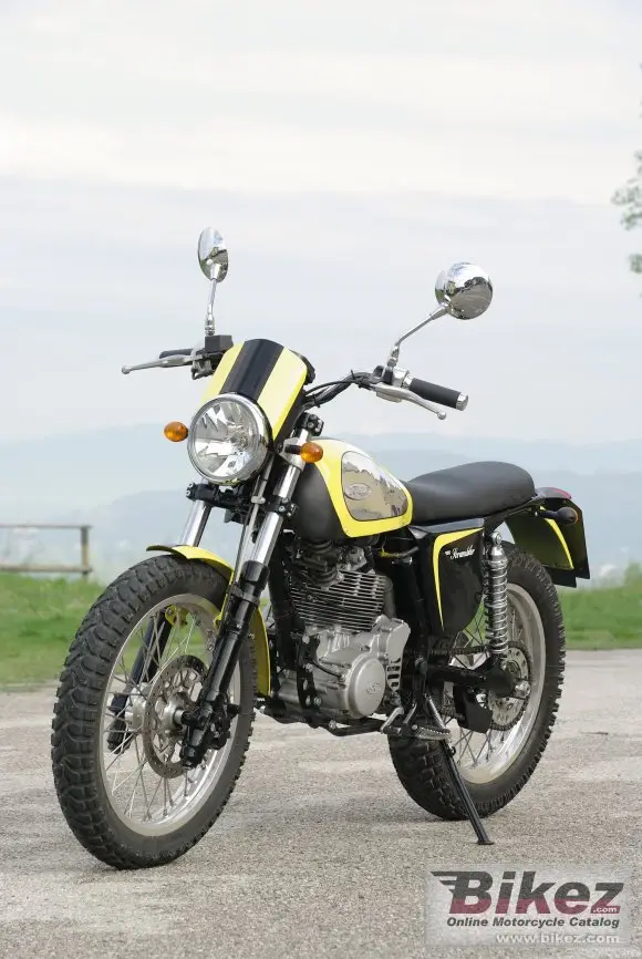 Borile B450scrambler 2014