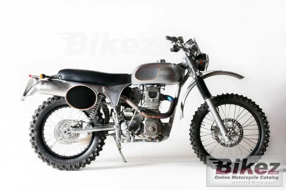 Borile B500 Ricki 2015