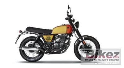 Brixton Cromwell 250 2022