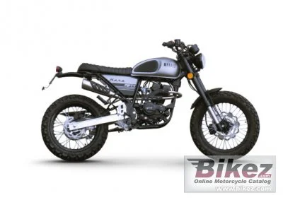 Bullit Hero 50 2021