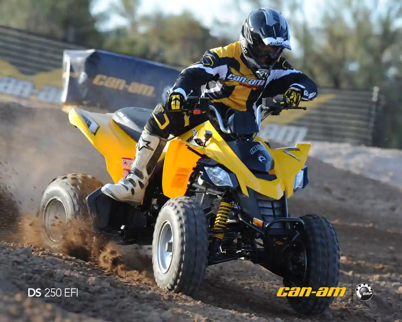 Can Am DS 250 2010