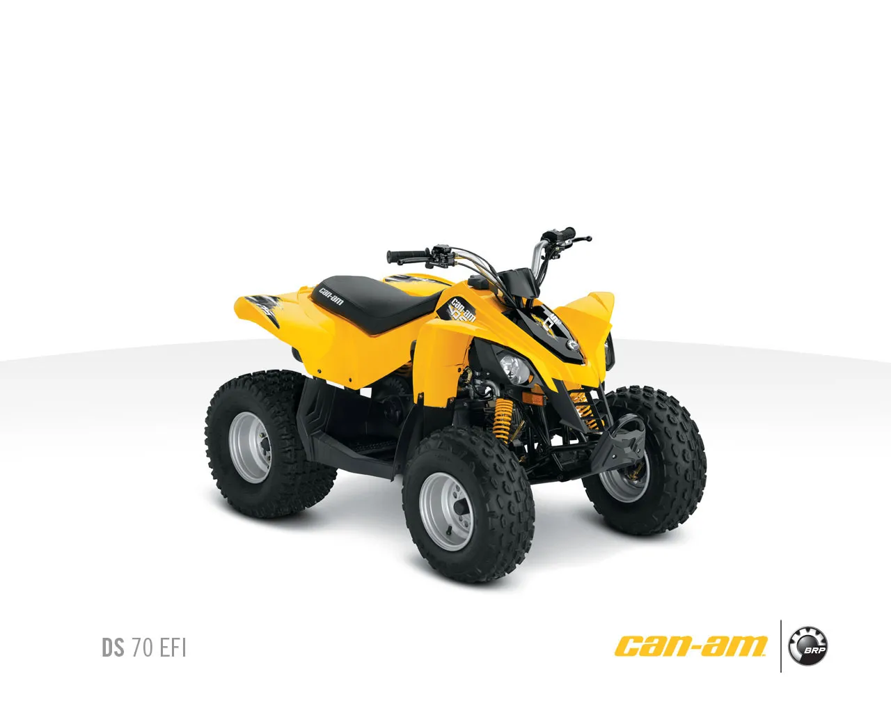 Can Am DS 70 2010