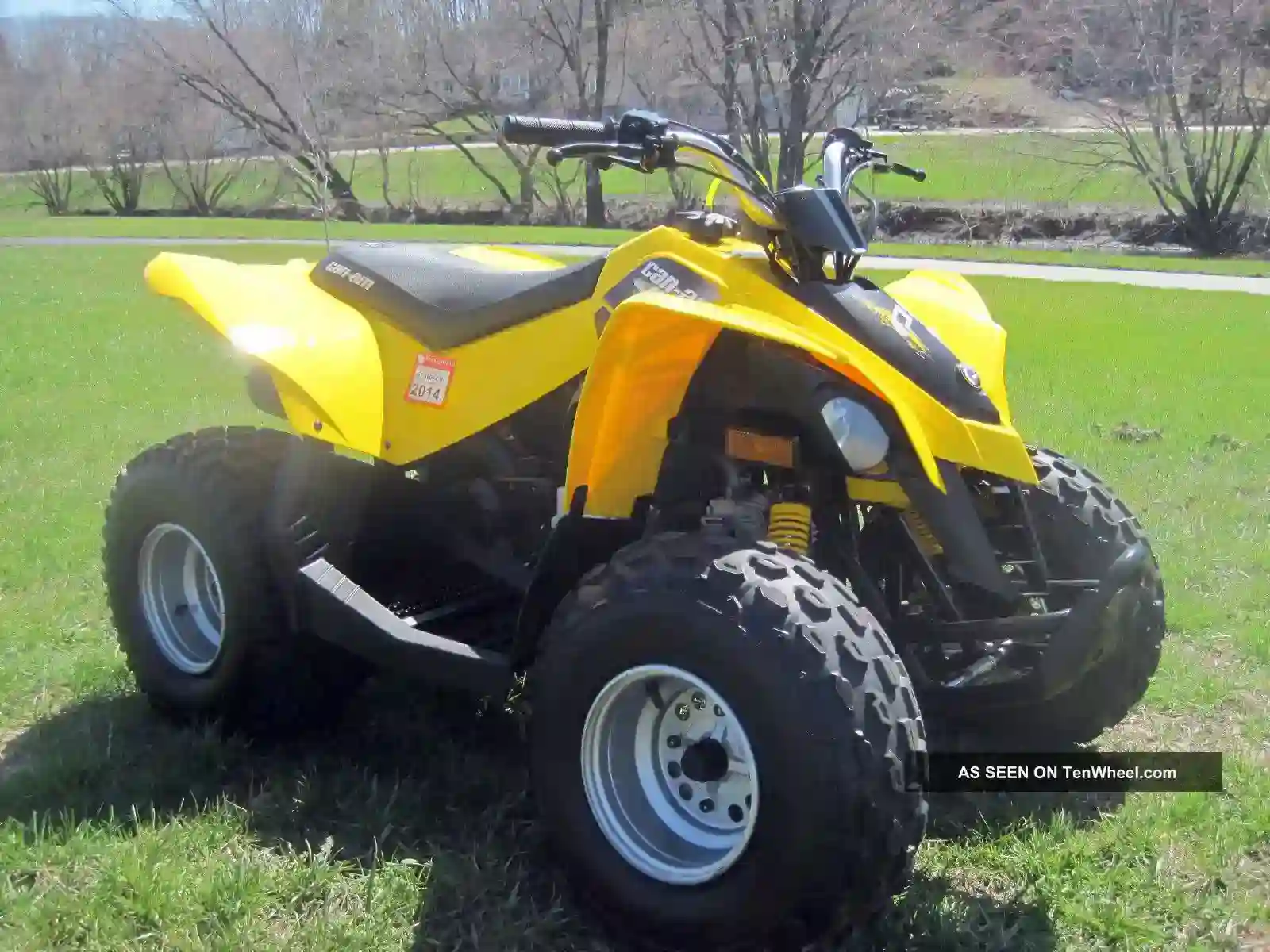 Can Am DS 90 2010