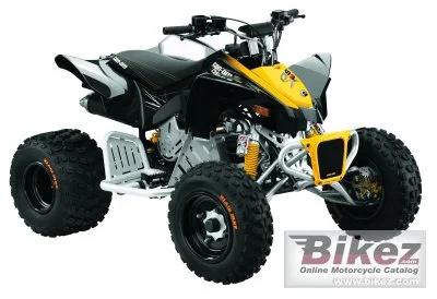 Can Am DS 90 X 2010