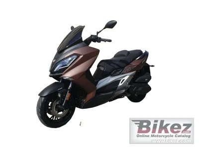 Capirelli Explorer 300T 2023