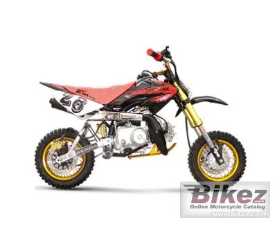 Chang Jiang GY 110 A 2007