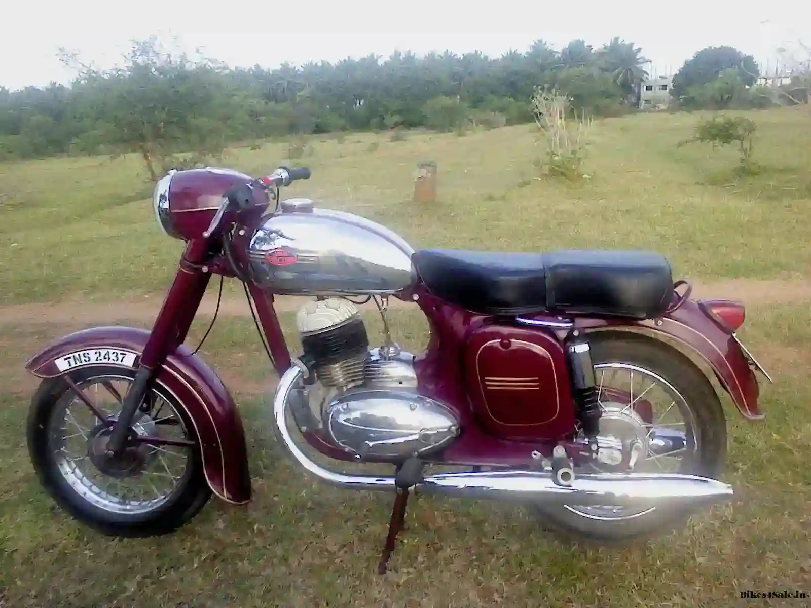 Chang Jiang Jawa 353 Replica 2011