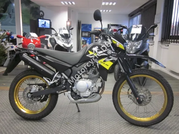 Clipic Custom Guepard 125Cc 2011