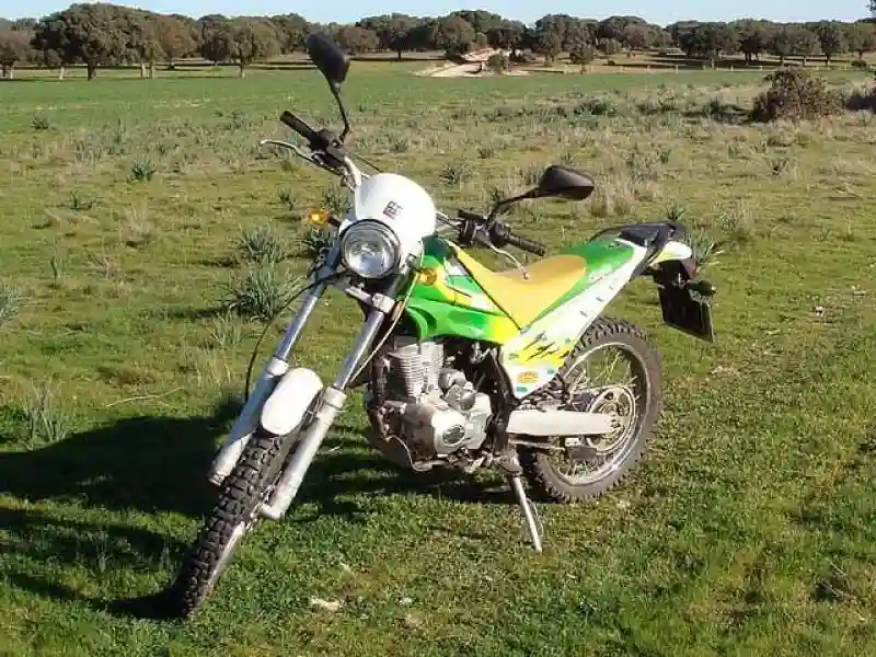 Clipic Tronic 125 2008