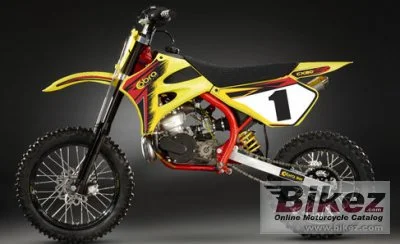 Cobra CX50 BW 2011
