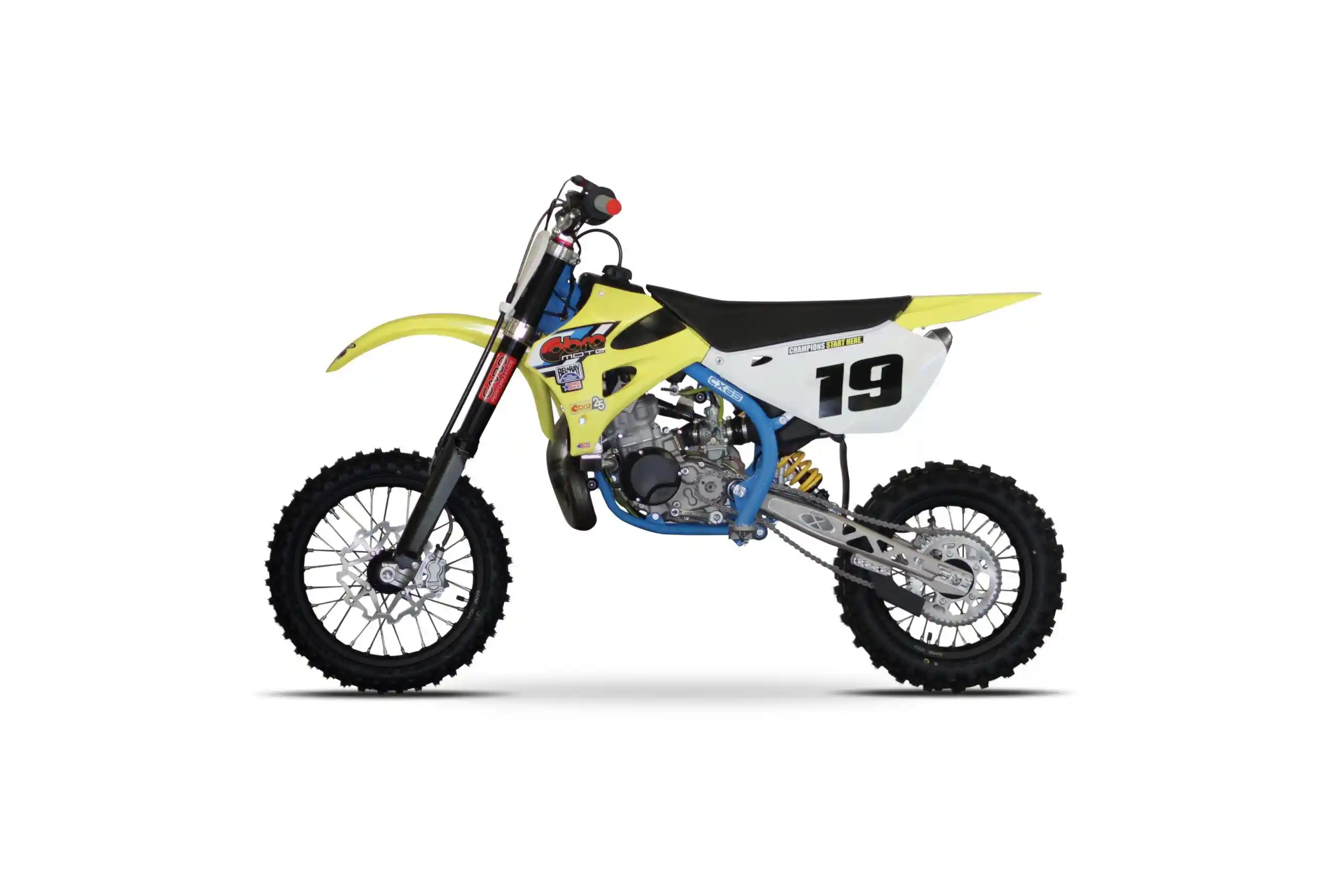 Cobra CX65 2019