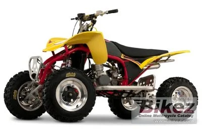 Cobra ECX50 2009 1