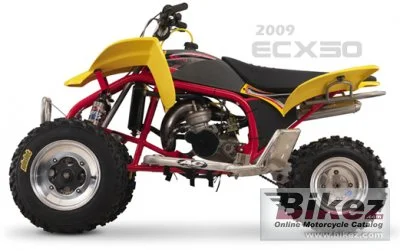 Cobra ECX50 2010