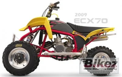 Cobra ECX70 2010