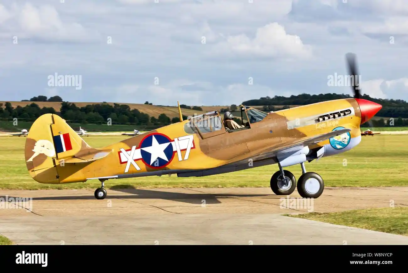 Curtiss Warhawk 2019