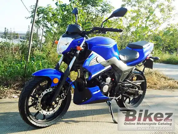 DF Motor DF250RTC 2016