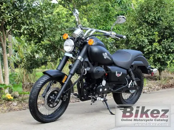 DF Motor DF250RTR 2016